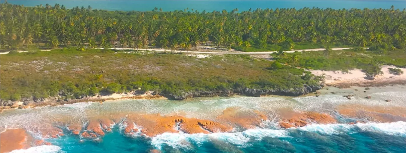 Vue aérienne d’un atoll&nbsp;: cocotiers, rivage rose et océan.